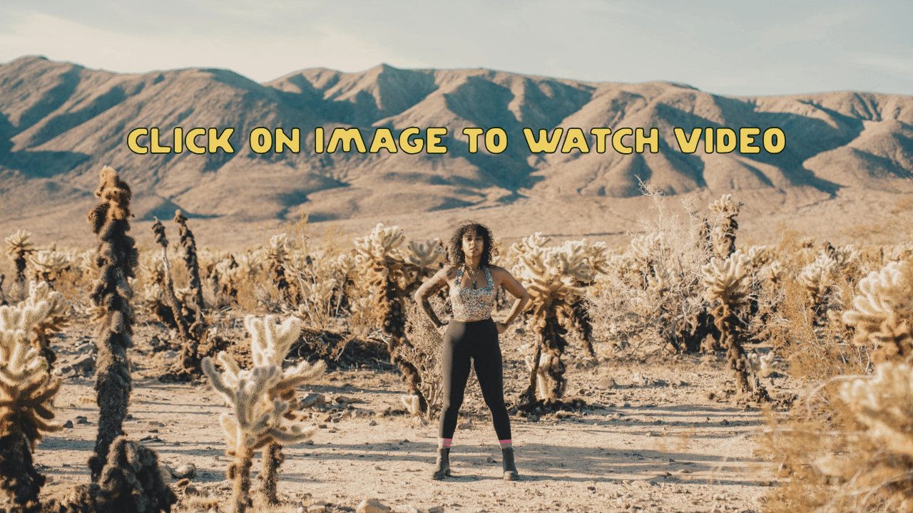 Welcome to The Village™ Women's Collective thumbnail