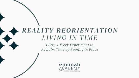 Reality Reorientation Experiment