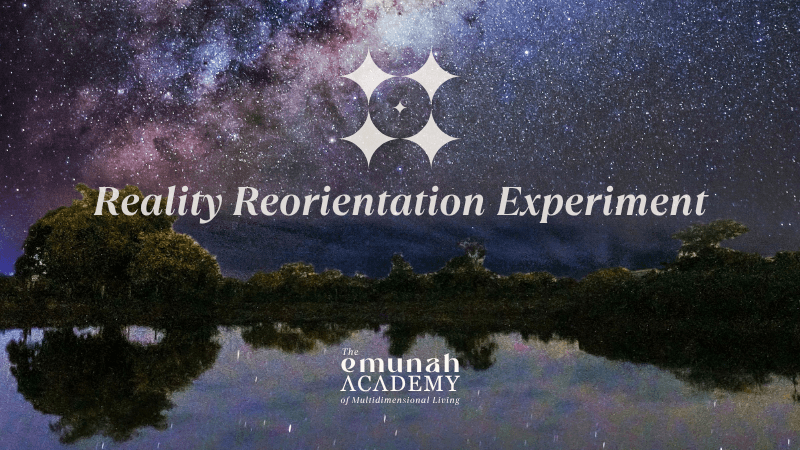 Reality Reorientation Experiment