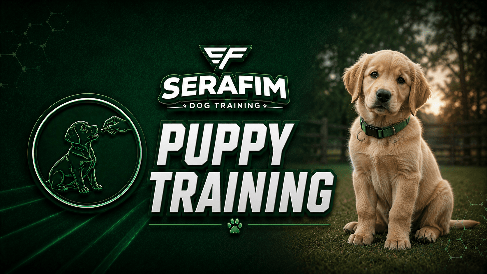 🐶 Puppy Training