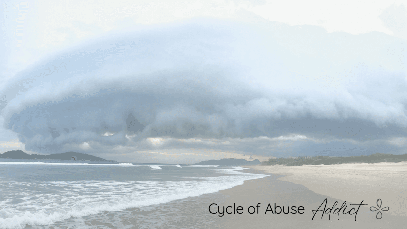 Cycle of Abuse with a Narcissistic Sex/Porn Addict