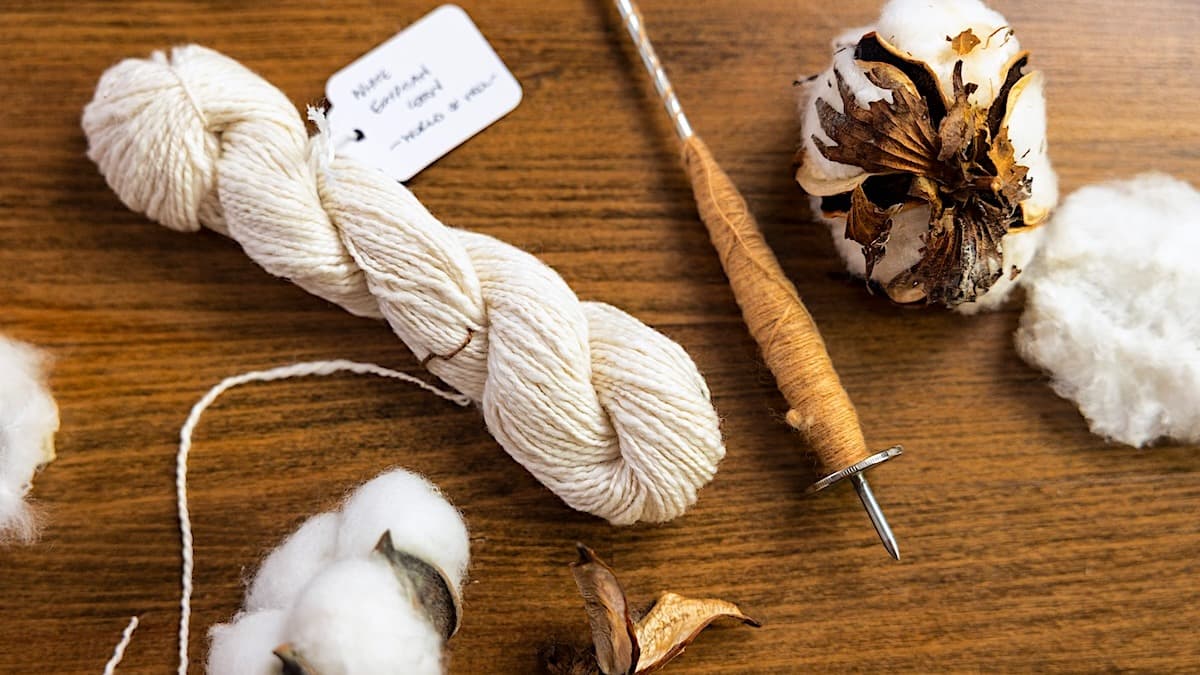 Spinning Cotton 
