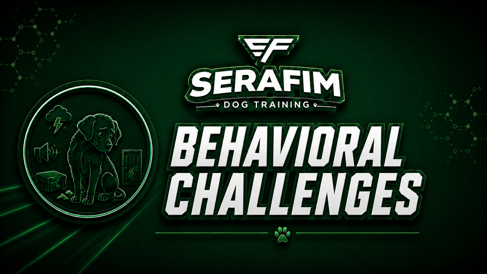 🔥 Behavioral Challenges