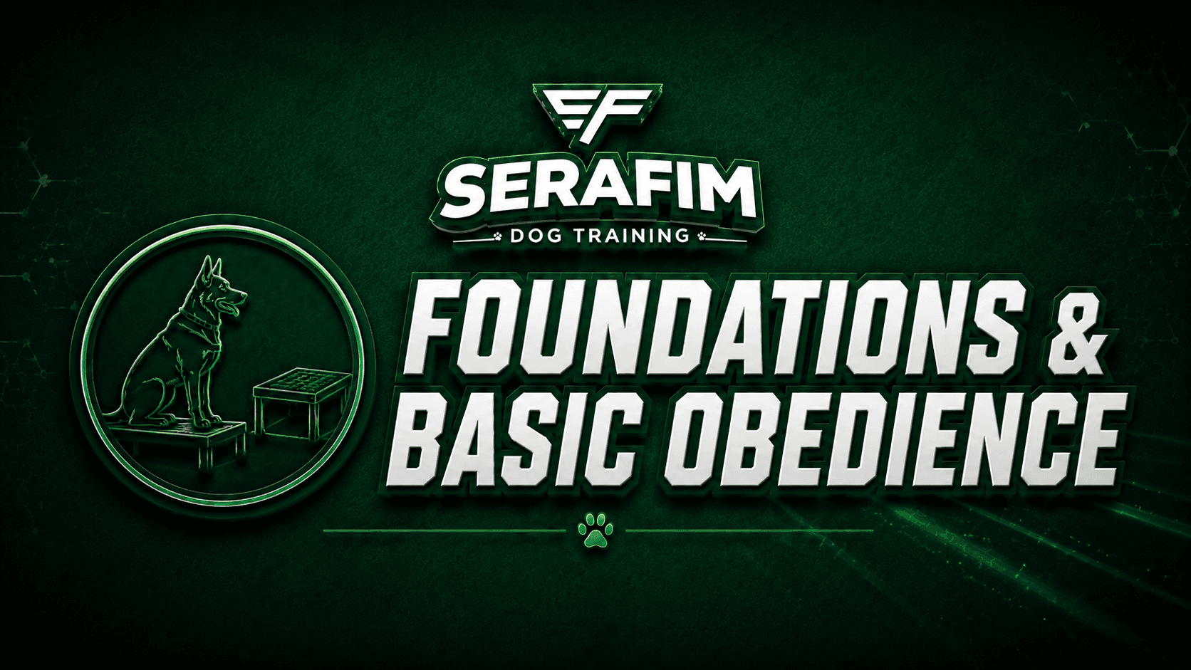 🐾 Foundations & Basic Obedience