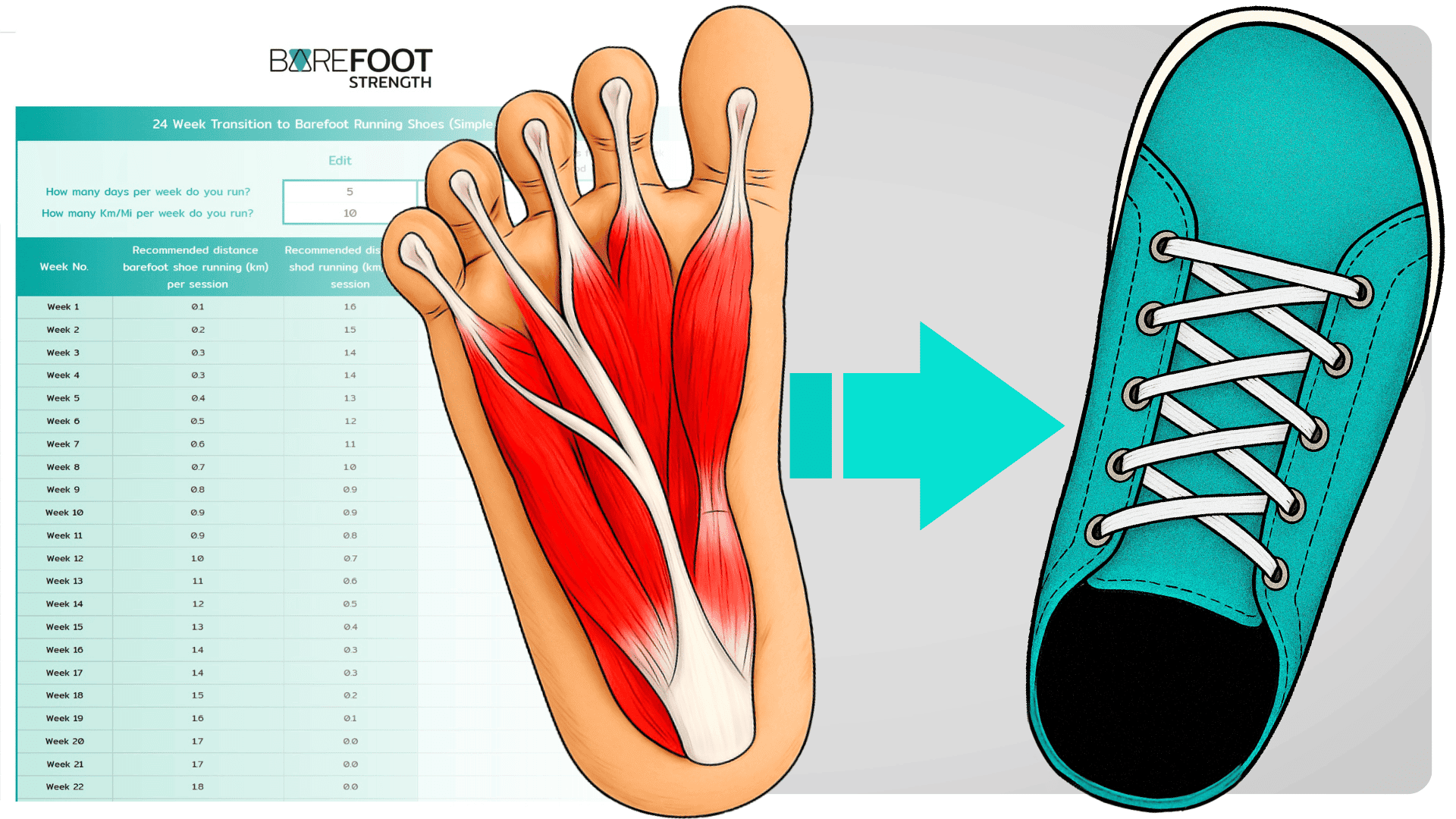 Barefoot Transition Plan