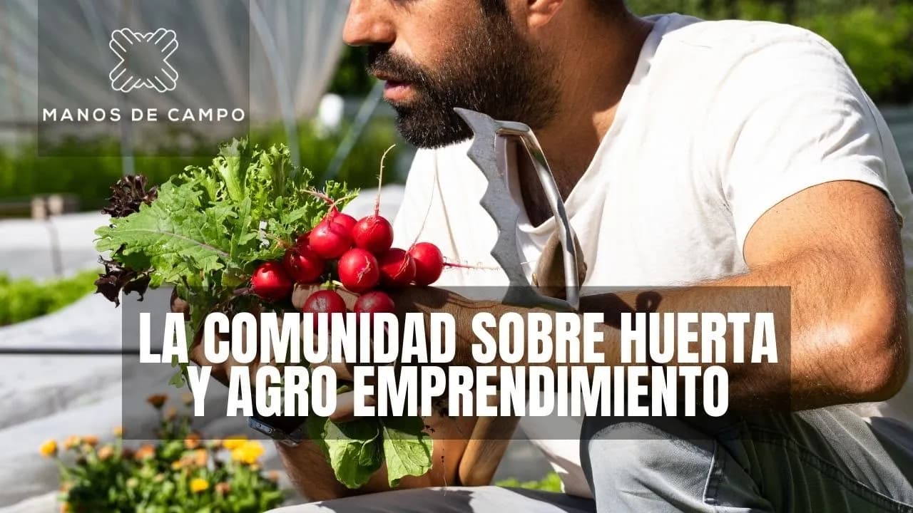 Manos de Campo | Una comunidad para cultivarnos juntos thumbnail