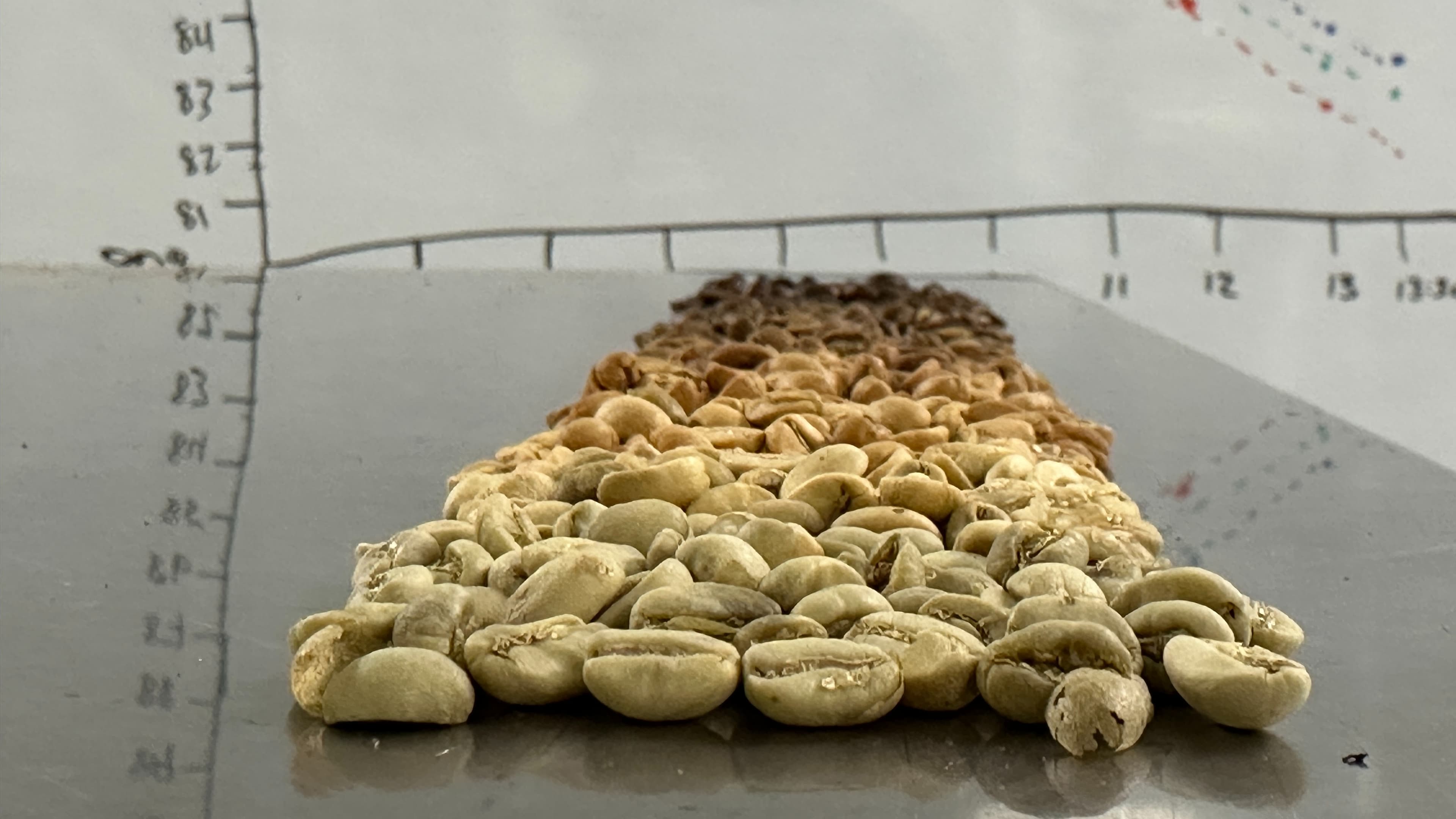 Roasting Resource Videos