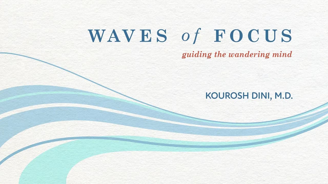 Waves of Focus - Promo Video thumbnail