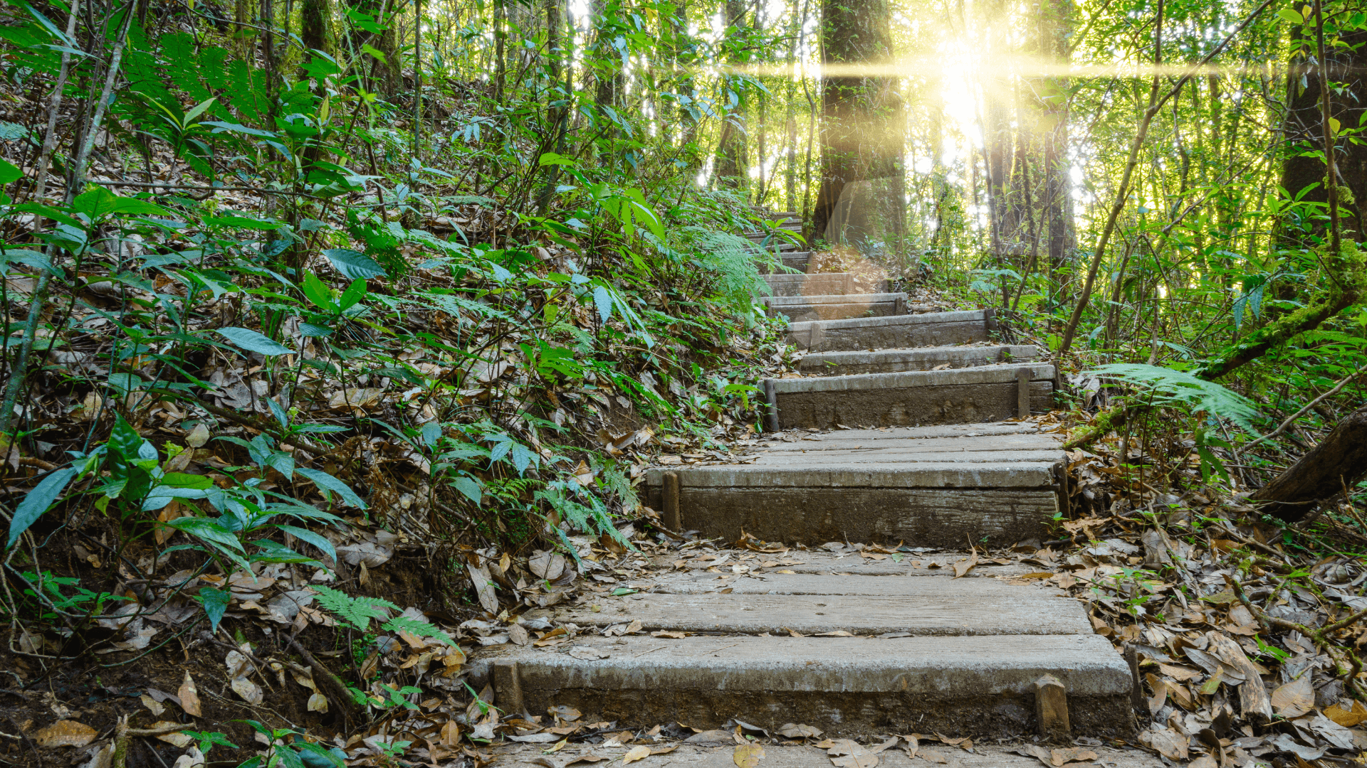 The Ladder of Learning: Introduction to TCT Year by Year