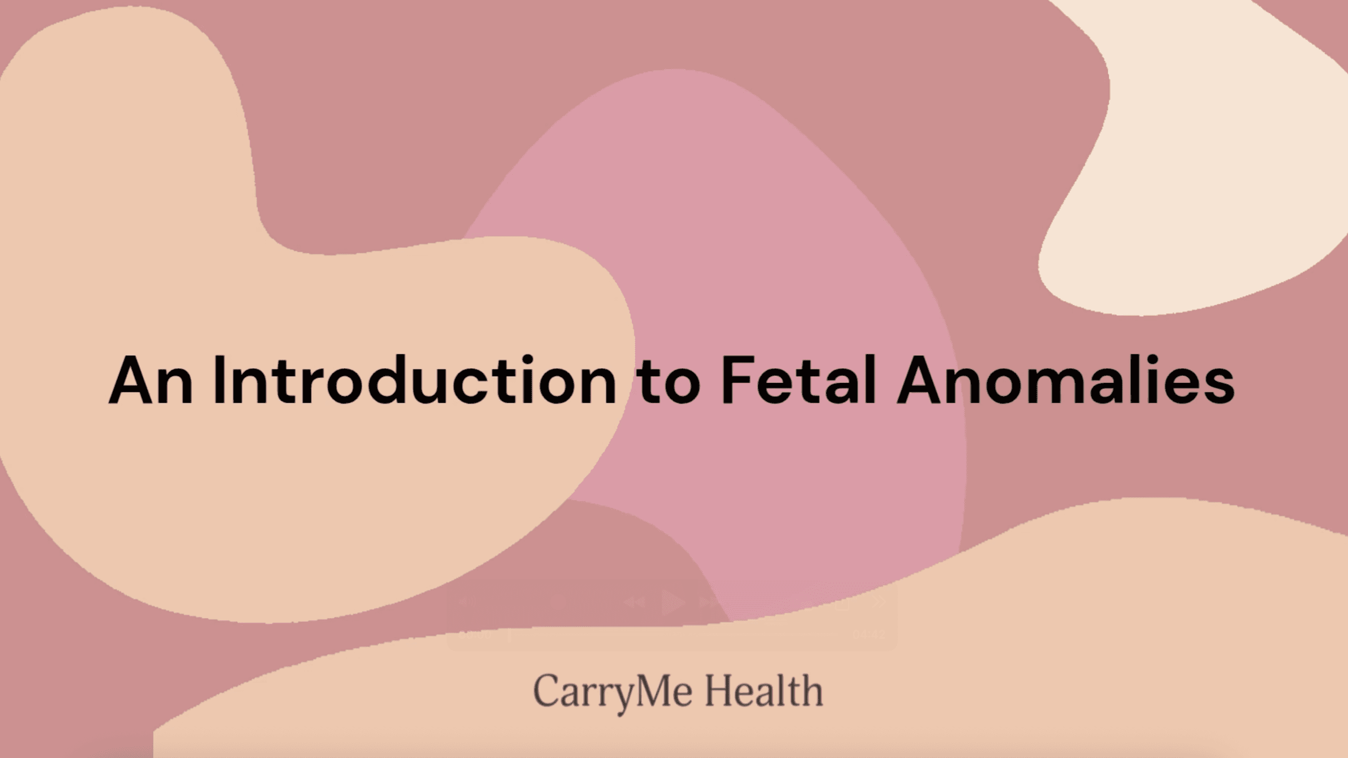 Introduction to Fetal Anomalies
