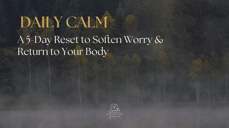 Daily Calm: A 5 Day Reset for Women who Worry