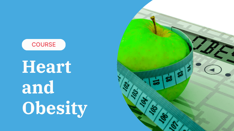 Heart and Obesity 2025