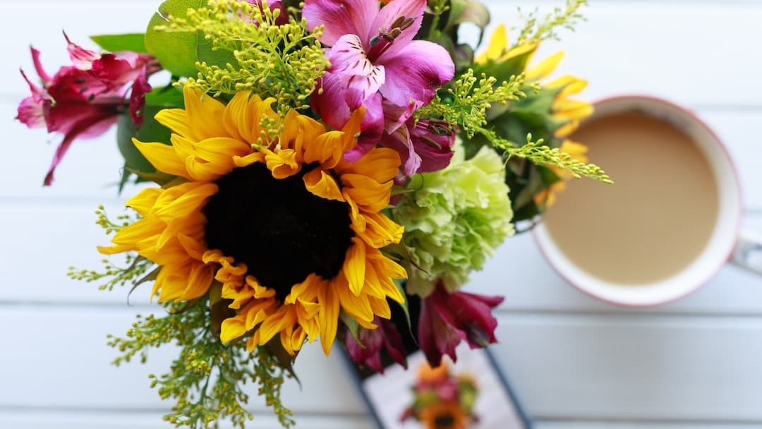 Organize Your Attitude Course