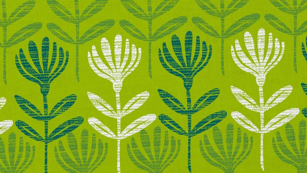 Illustrator Artistry