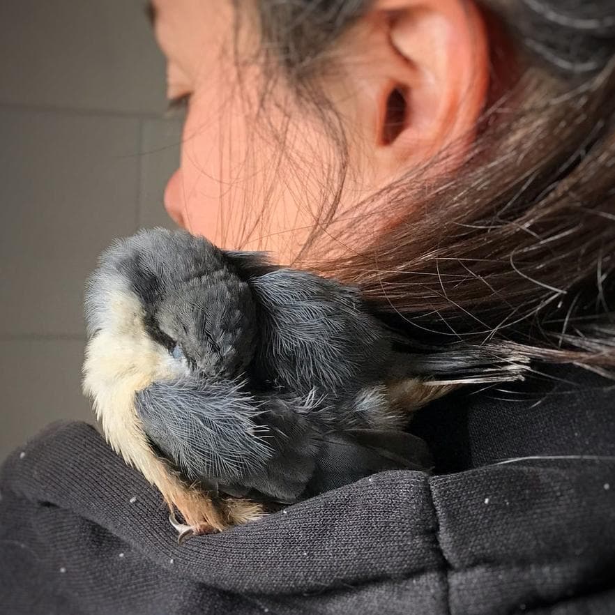 Profile photo